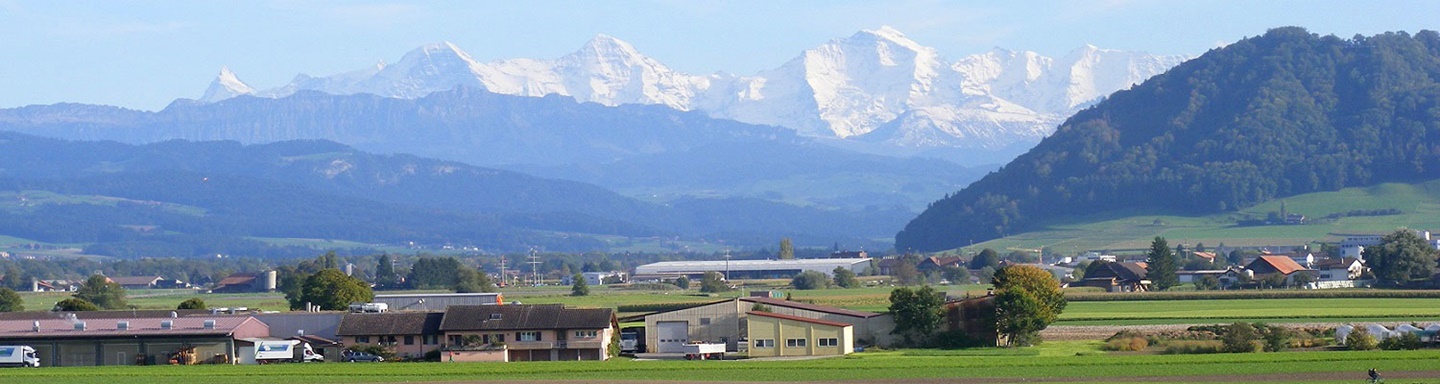 Schneebedeckte Gipfel überragen die sattgrüne Schwemmebene der Aare.