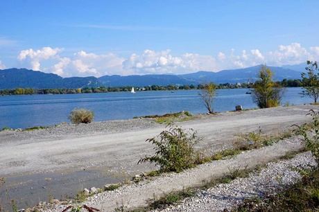 Blick auf den tiefblauen Bodensee, im Hintergrund der Bregenzerwald.