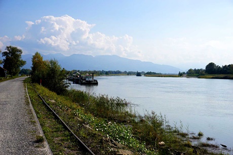 Der Rhein im Naturschutzgebiet Rheindelta.