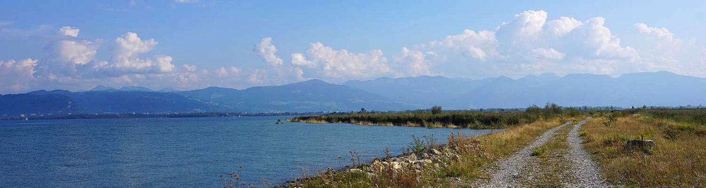 Gekiester Radweg an der Rheinmündung in den Bodensee