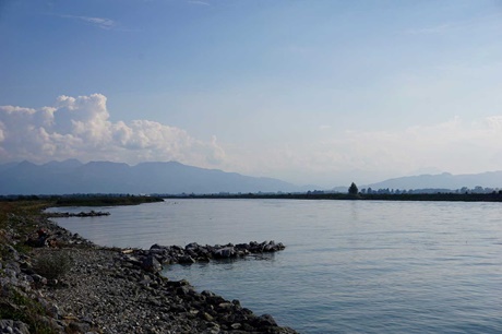 Die Mündung des Rheins in den Bodensee vom österreichischen Ufer aus gesehen.