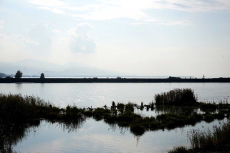 Die Rheinmündung in stimmungsvollem Gegenlicht.