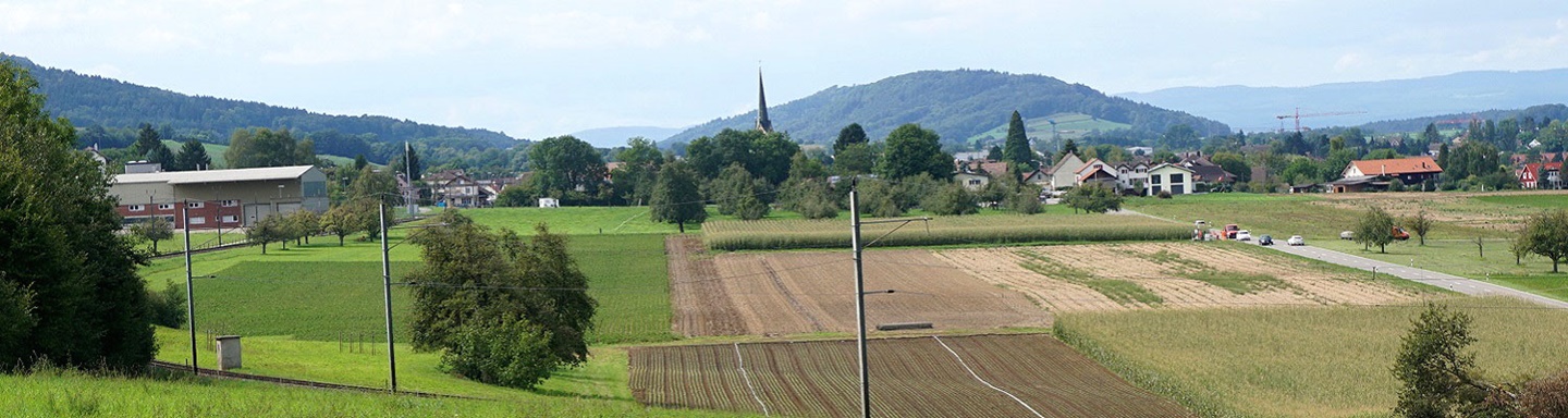 Blick auf das idyllisch von Äckern und Wiesen eingerahmte Eschenz.