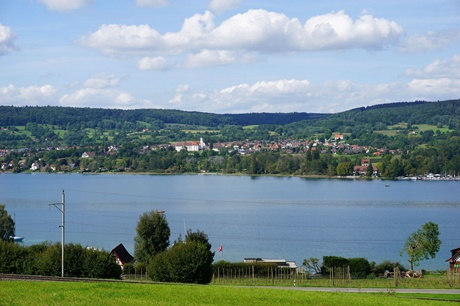 Schöner Blick auf das schräg gegenüber von Mammern gelegene Öhningen mit seinem markanten ehemaligen AUgustiner-Chorherrenstift.