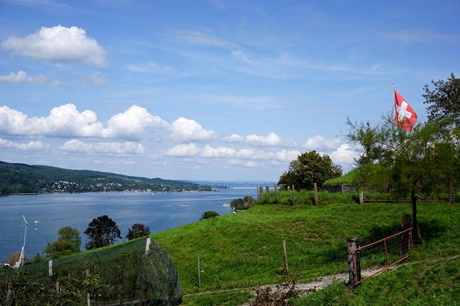 Die Flagge der Eidgenossen weht am Ufer des Untersees bei Mammern.