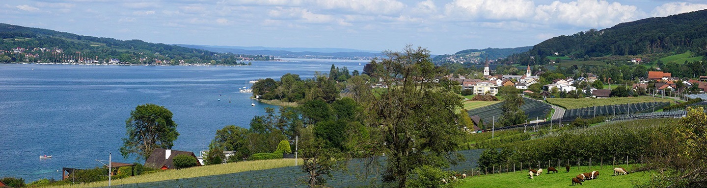 Wunderschöner Blick auf Mammern am Untersee.