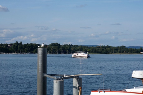 Das Passagierschiff MS Thurgau in der Anfahrt auf Steckborn.