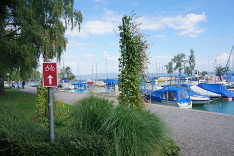 Bei Romanshorn führt die Rhein-Route direkt am Ufer des Bodensees entlang.