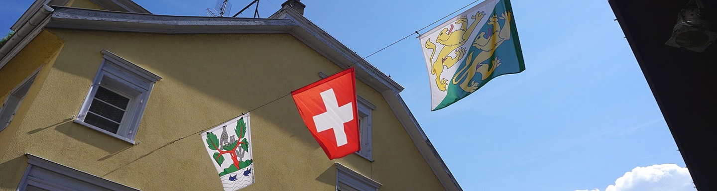 Fahnen mit Stadt- und Kantonswappen sowie die Schweizer Nationalflagge über der Altstadt von Arbon.
