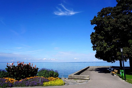 Blick auf die mit Blumen geschmückte Uferpromenade von Rorschach.