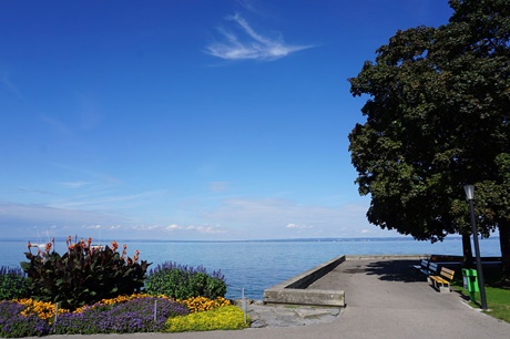 Die wunderschön mit Blumen geschmückte Uferpromenade von Rorschach lädt zum Bummeln und Verweilen ein.