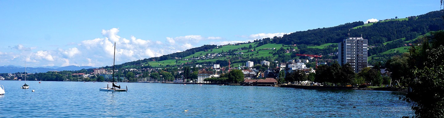 Schöner Blick auf die sich am Bodenseeufer entlang erstreckende und von den grünen Hügeln des Appenzell überragte Skyline von Rorschach.