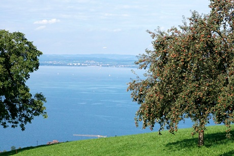 Ein Zeppelin über dem herbstlichen Bodensee.