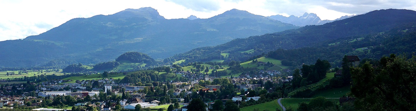 Blick ins St. Galler Rheintal bei Marbach; am rechten Bildrand ist das Schloss Weinstein zu erkennen.