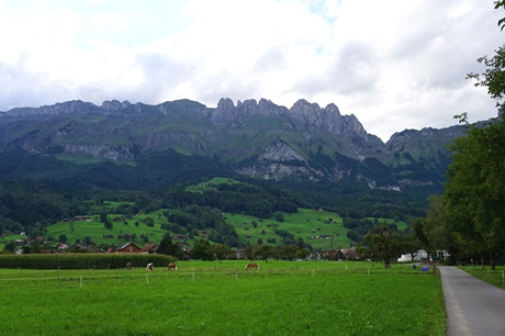 Blick auf den harmonisch in die Landschaft des St. Galler Rheintals eingefügte Ort Gams.