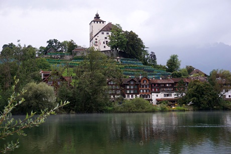 Das von Weinbergen umgebene Schloss Werdenberg erhebt sich malerisch über den Häusern des gleichnamigen Ortes und dem Werdenbergersee.