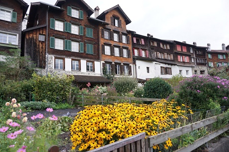 Ein buntes Blütenmeer vor den mittelalterlichen Holzhäusern von Werdenberg.