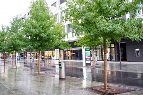 Geschäfte in der liebevoll mit Bäumen bepflanzten Fußgängerzone von Buchs.