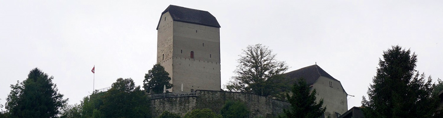 Das imposante Schloss Sargans.