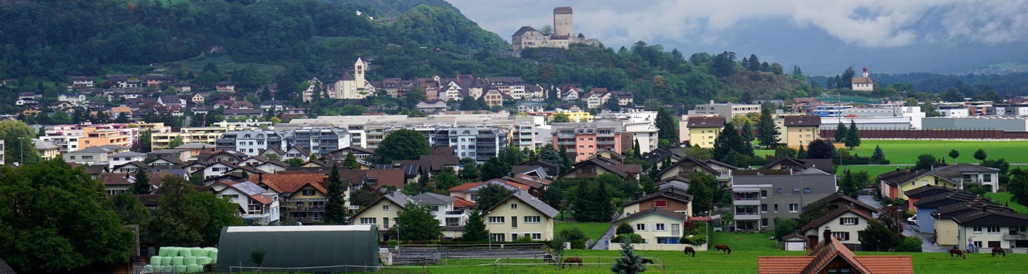 Schöner Panoramablick auf das vom gleichnamigen Schloss dominierte Sargans.