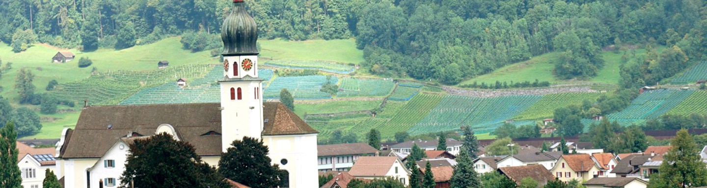 Blick auf das westlich von Sargans gelegene, teilweise von Weinreben umrahmte Mels; im Vordergrund die katholische Kirche St. Peter und Paul.