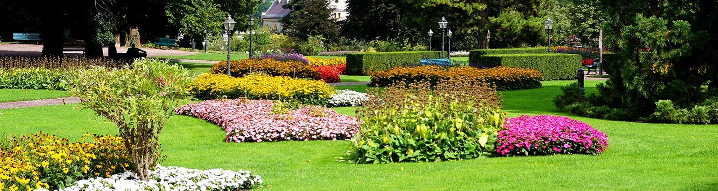 Herrlicher Blumenschmuck im Kurgarten von Bad Ragaz.