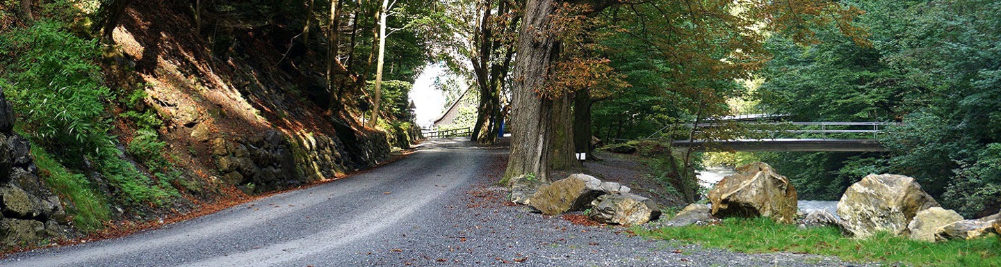 Ein von Bäumen umrahmter Wanderweg in der romantischen Taminaschlucht bei Bad Ragaz.