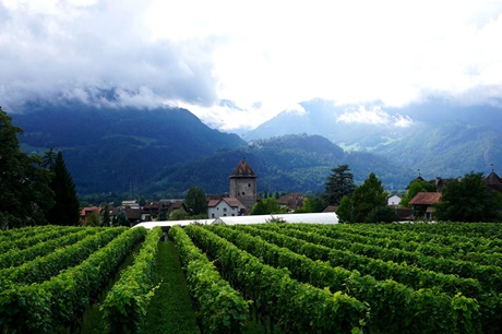 Sattgrüne Weinberge und wolkenverhangene Berge umrahmen das von Schloss Brandis dominierte Städtchen Maienfeld.