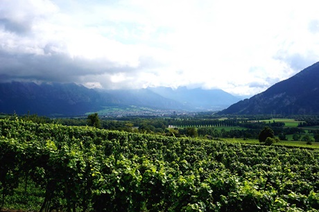 Panoramaaufnahme der Bündner Herrschaft, ganz im Hintergrund Maienfeld.