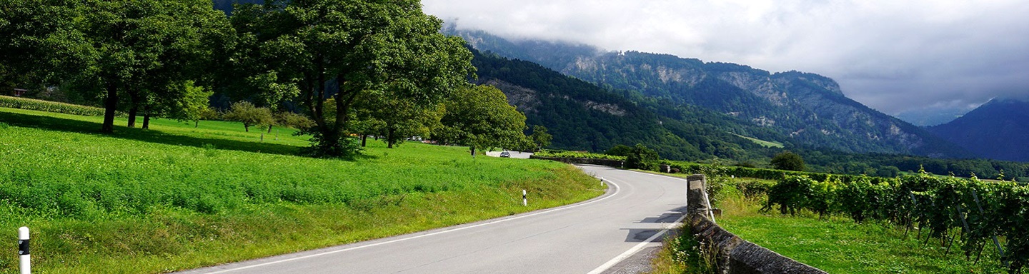 Berge und die Weinreben der Bündner Herrschaft prägen die Landschaft rund um Maienfeld.