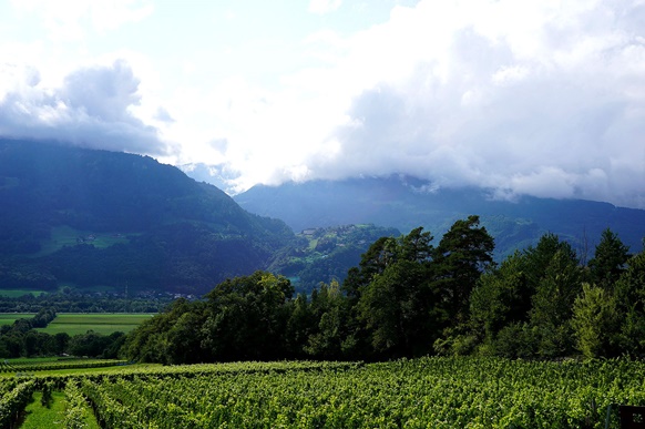 Die herrlich grünen Weinberge der Bündner Herrschaft erstrecken sich zu Füßen des von wolkenverhangenen Bergen eingerahmten, ehemaligen Benediktinerklosters Pfäfers.