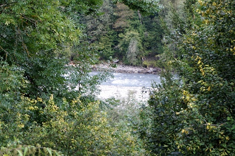 Der Rhein kurz hinter Ilanz, vor seinem Eintritt in die Rheinschlucht.