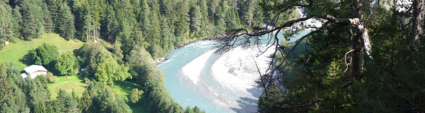 Blick in die wunderschöne, großenteils bewaldete Rheinschlucht.