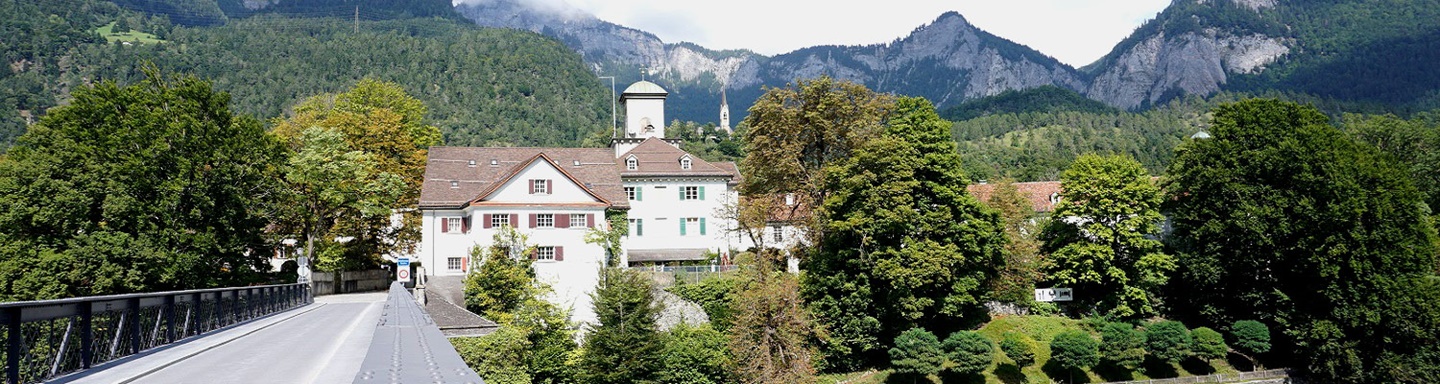 Schöner Blick auf das markante, von einer malerischen Bergkulisse umgebene Schloss Reichenau.