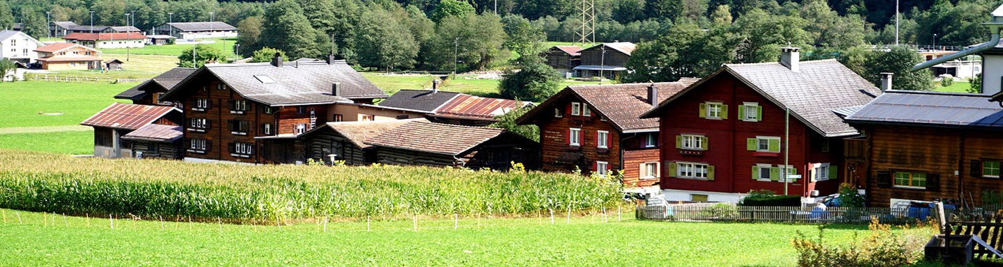 Charakteristische Holzchalets in der Surselva.