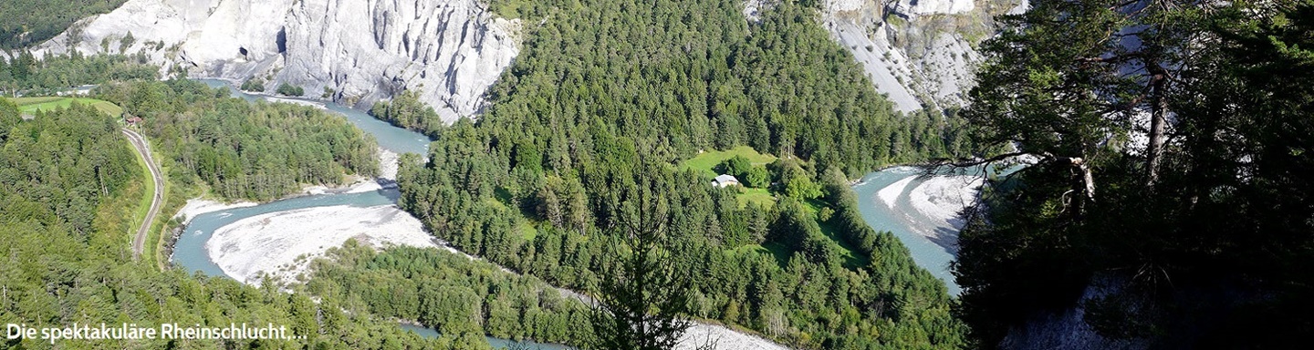 Traumhafter Blick in die atemberaubend schöne Rheinschlucht, in der sich weiße Felswände harmonisch mit dunkelgrünen Nadelwäldern abwechseln.