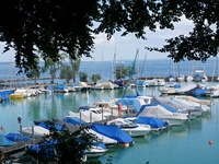 Boote dümpeln bei Romanshorn auf dem Bodensee.